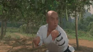 Задник к фильму "Храм Шаолинь 3: Боевые искусства Шаолиня" #456787