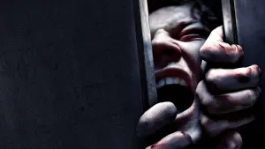 Задник к фильму "Клаустрофобы" #281280