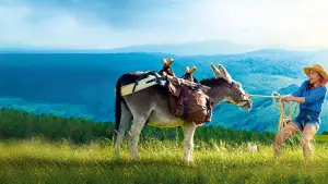 Задник к фильму "Ослик, любовник и я" #435337