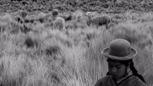 Задник к фильму "" #464244