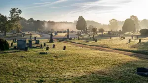 Задник к фильму "Рэймонд  и Рэй" #433797