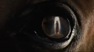 Задник к фильму "Боевой конь" #719024