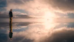 Задник к фильму "Милые кости" #372275