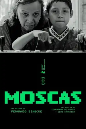 Moscas