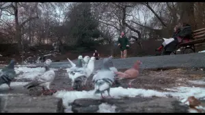 Задник к фильму "Один дома 2: Затерянный в Нью-Йорке" #567247