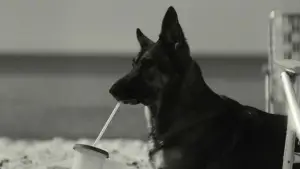 Задник к фильму "" #591189