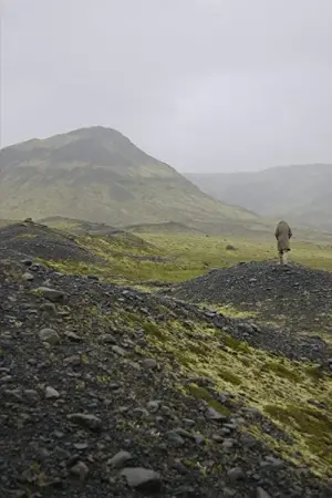 Постер к фильму "Babybird, Unborn"