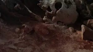 Задник к фильму "Индиана Джонс и последний крестовый поход" #601636