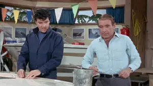 Задник к фильму "Пикничок" #498761