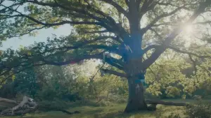 Задник к фильму "Бриджит Джонс: Без ума от мальчишки" #590822