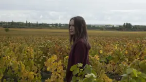 Задник к фильму "Возвращение в Бургундию" #255070