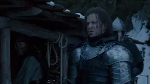 Задник к фильму "Биркебейнеры" #363337