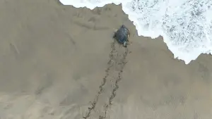 Задник к фильму "" #543138