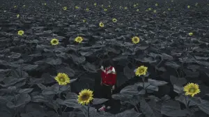 Задник к фильму "" #686678