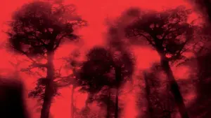 Задник к фильму "Лихорадка" #351604