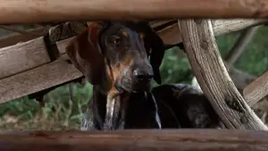 Задник к фильму "" #678433