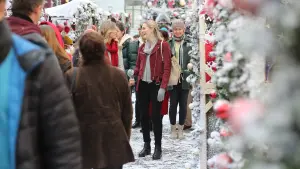 Задник к фильму "Рождество во дворце" #425098