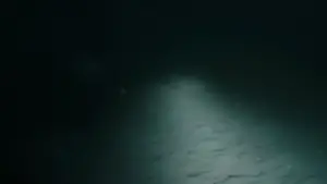 Задник к фильму "Под водой" #660010