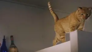 Задник к фильму "Завтрак у Тиффани" #648629