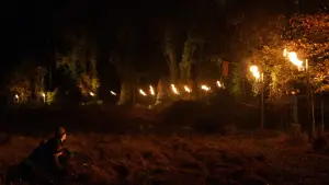 Задник к фильму "Таинственный лес" #728820