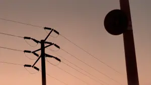 Задник к фильму "Хэллоуин 3: Сезон ведьм" #489256