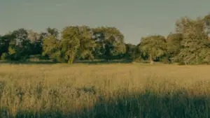 Задник к фильму "Мама!" #627110