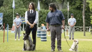 Задник к фильму "" #448906