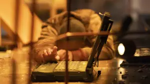 Задник к фильму "Досье «Чёрная канарейка»" #623175