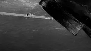 Задник к фильму "Невероятно худеющий человек" #212648