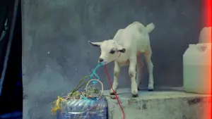 Задник к фильму "" #368800