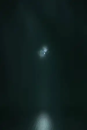 Постер к фильму "Wind"