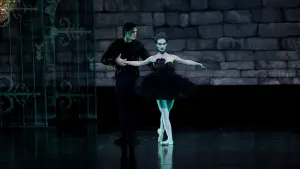 Задник к фильму "Чёрный лебедь" #202221