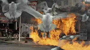 Задник к фильму "Птицы" #677222