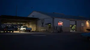 Задник к фильму "Любовь истекает кровью" #434493