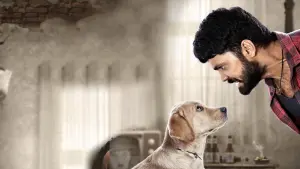 Задник к фильму "777 Чарли" #418979