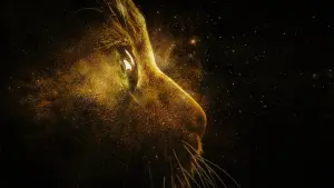 Задник к фильму "Капитан Марвел" #259684