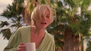 Задник к фильму "Все без ума от Мэри" #273197