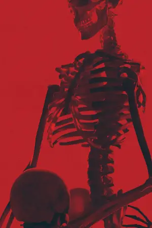 Постер к фильму "Опасные связи" #532180