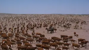 Задник к фильму "Гигант" #713257