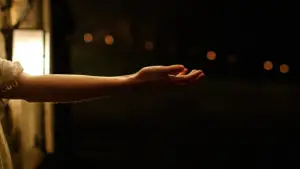 Задник к фильму "Таинственный лес" #728826