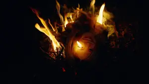 Задник к фильму "Бугония" #511597