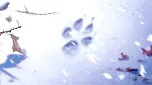 Задник к фильму "Белый клык" #341503