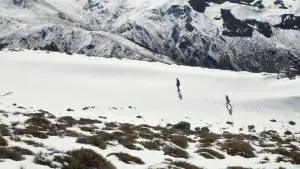 Задник к фильму "Каннибал" #697813