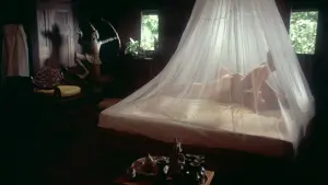 Задник к фильму "Эммануэль" #455033