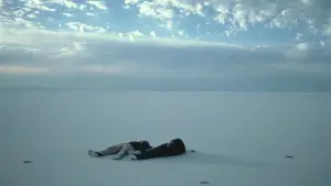 Задник к фильму "Джерри" #482533