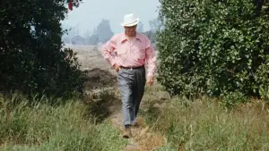 Задник к фильму "" #531325