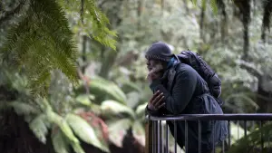 Задник к фильму "Город тайн: Исчезнувшая" #430498