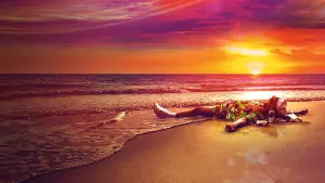 Задник к фильму "Пляжный бездельник" #420795