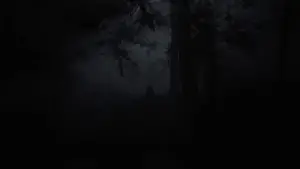 Задник к фильму "Собиратель душ" #554037