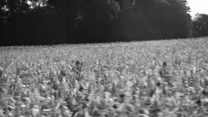 Задник к фильму "Спрингстин. Избавь меня от небытия" #550900